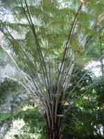 Albums/20060200-New Zealand 2006/20060201-Christchurch/27